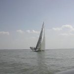 38kekszalag2006