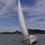 aimage120