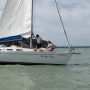 aimage145