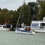 IMG_7465